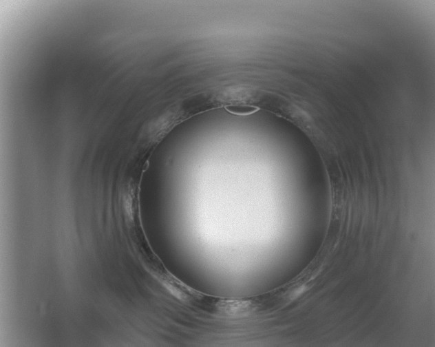 X0000067490334200604150048