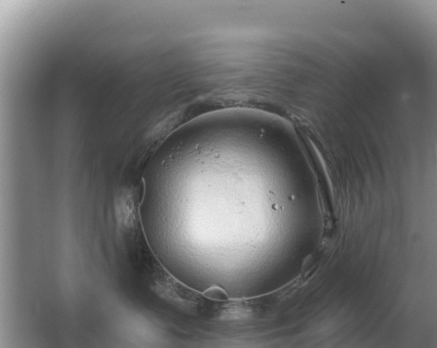 X0000067490335200604150048