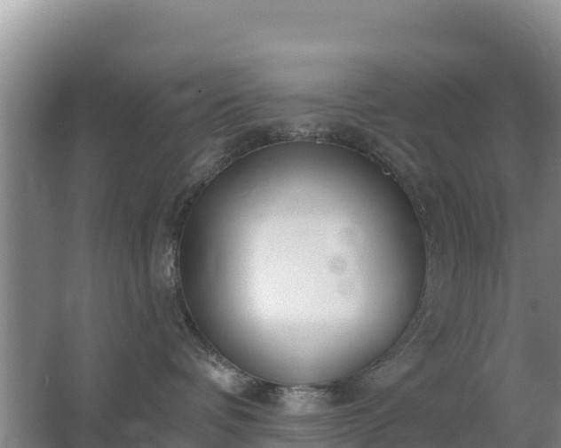 X0000067490336200604150048