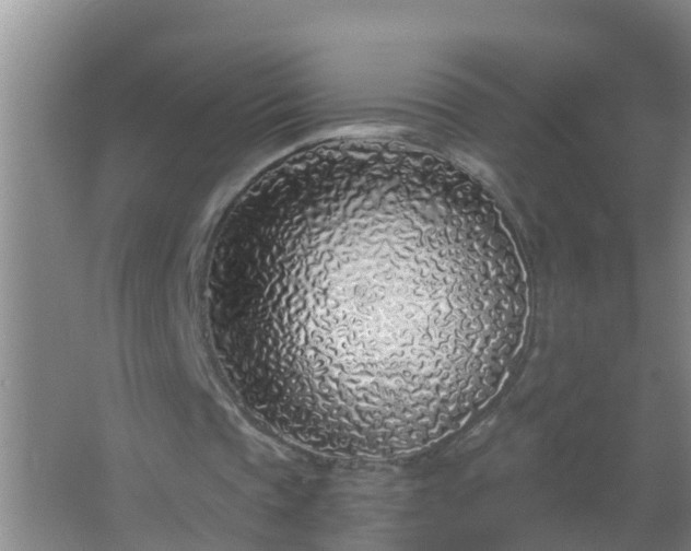 X0000067490337200604150047