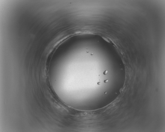 X0000067490338200604150047