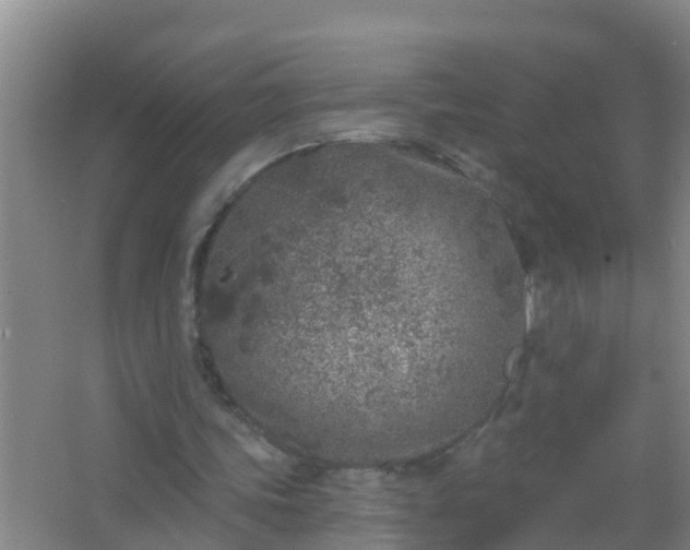 X0000067490339200604150047