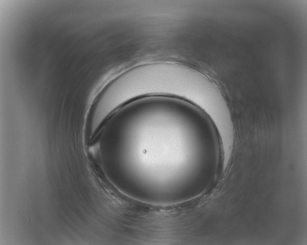 X0000067490340200604150047