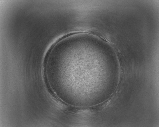 X0000067490342200604150047