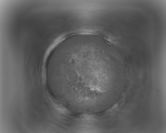 X0000067490343200604150047