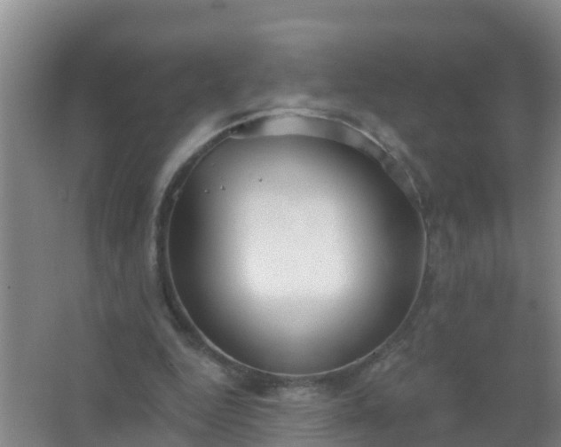 X0000067490344200604150047