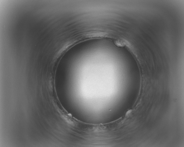 X0000067490345200604150047