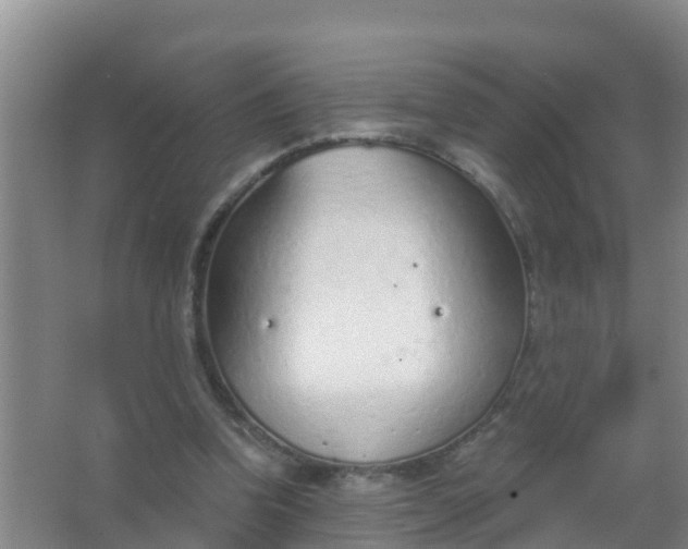 X0000067490346200604150047