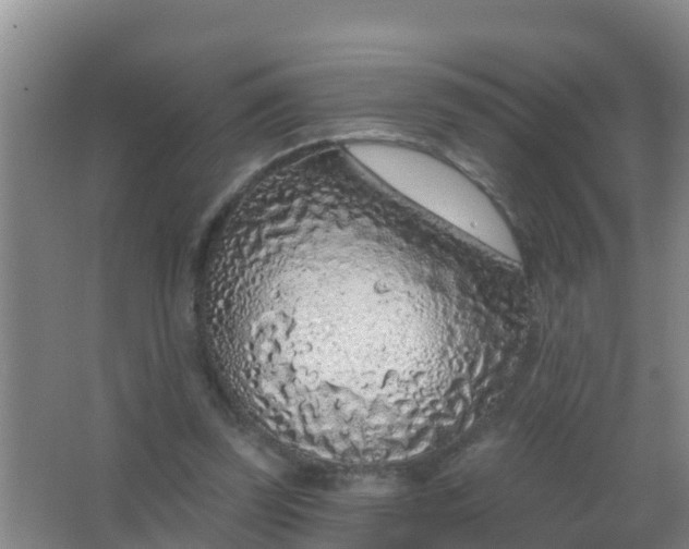 X0000067490347200604150047