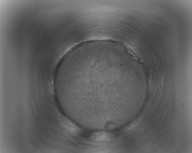 X0000067490351200604150047