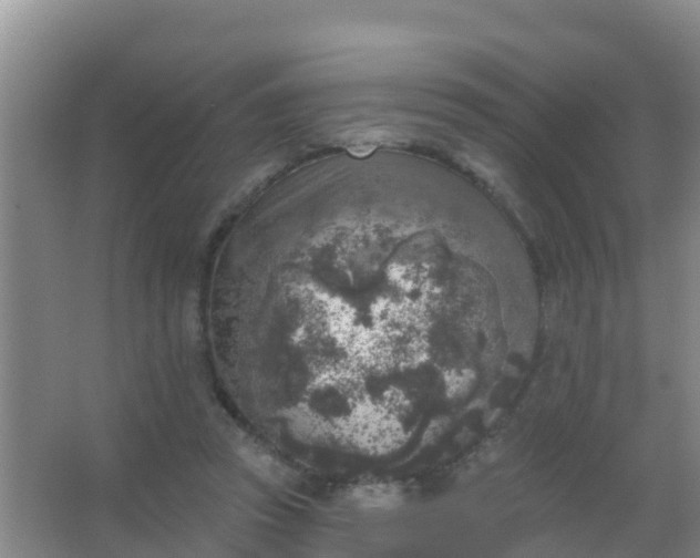 X0000067490353200604150048