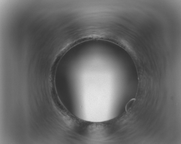 X0000067490354200604150048