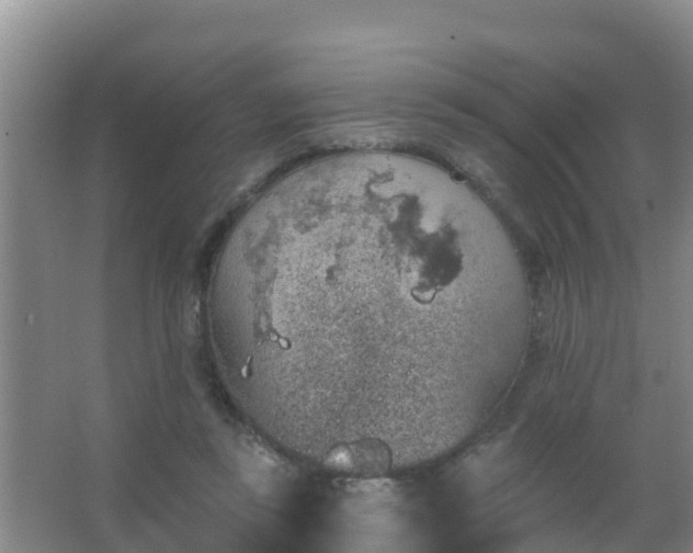 X0000067490355200604150048