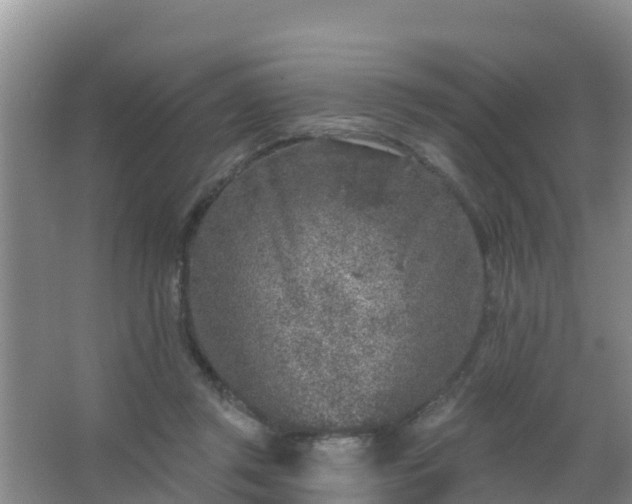 X0000067490357200604150048