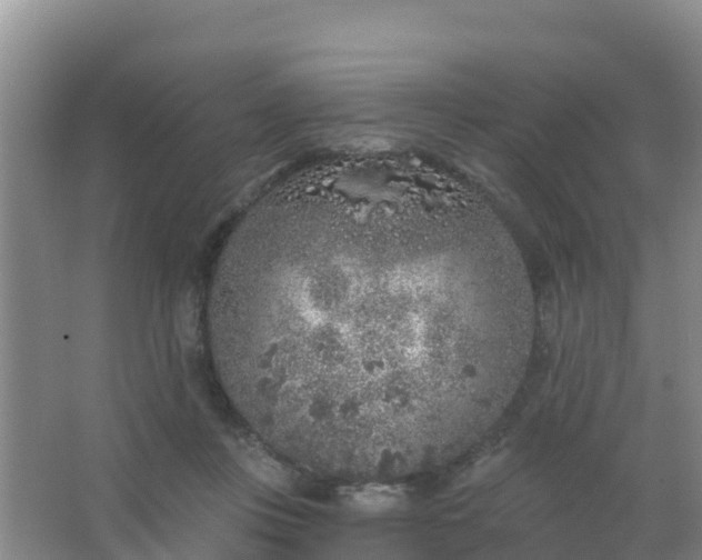 X0000067490359200604150048