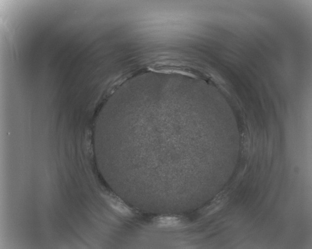 X0000067490361200604150048