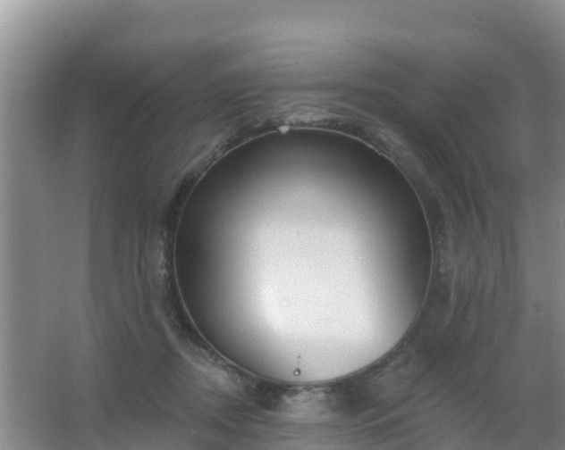 X0000067490362200604150048