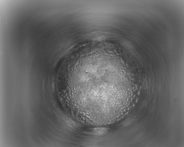 X0000067490363200604150048