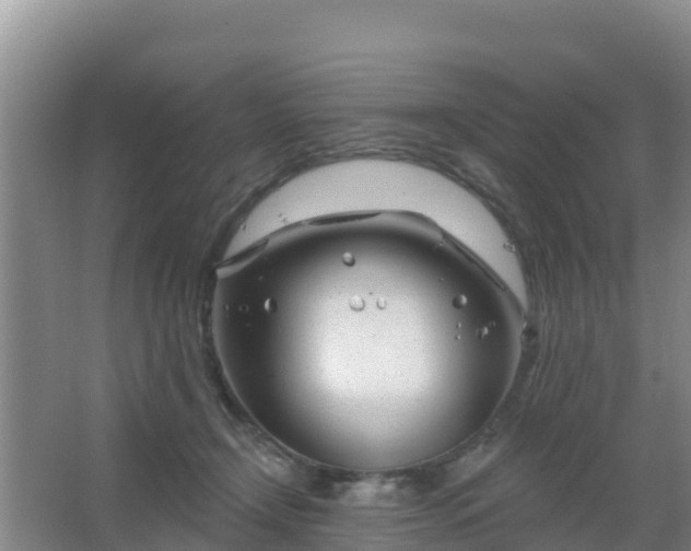 X0000067490366200604150048