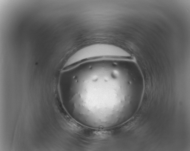 X0000067490367200604150048