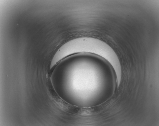 X0000067490368200604150048