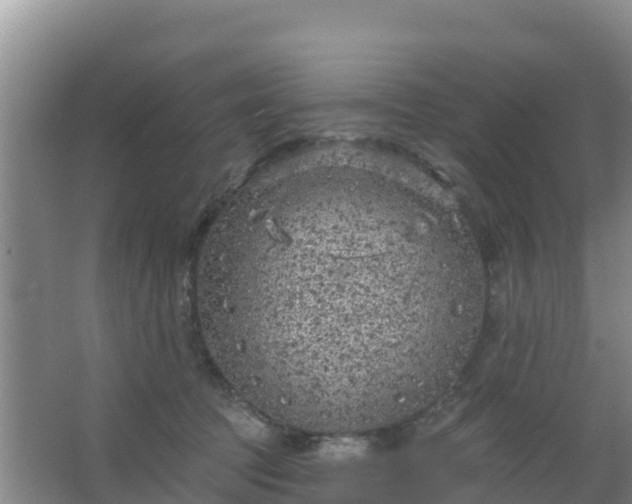 X0000067490369200604150048