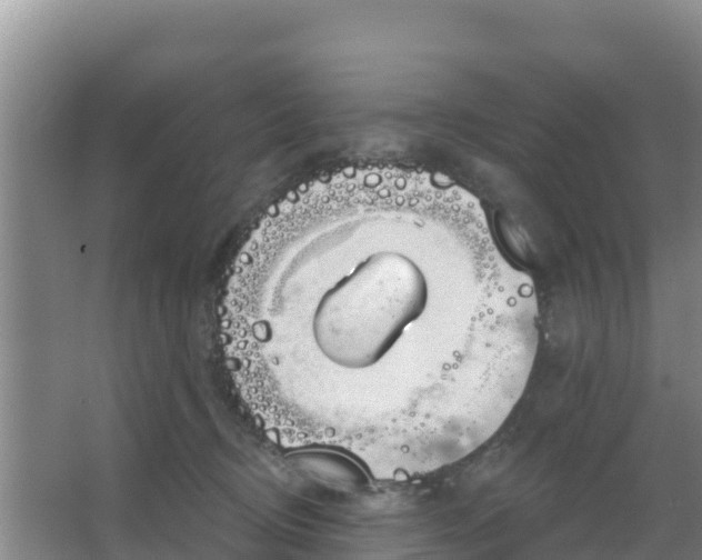 X0000067490370200604150048