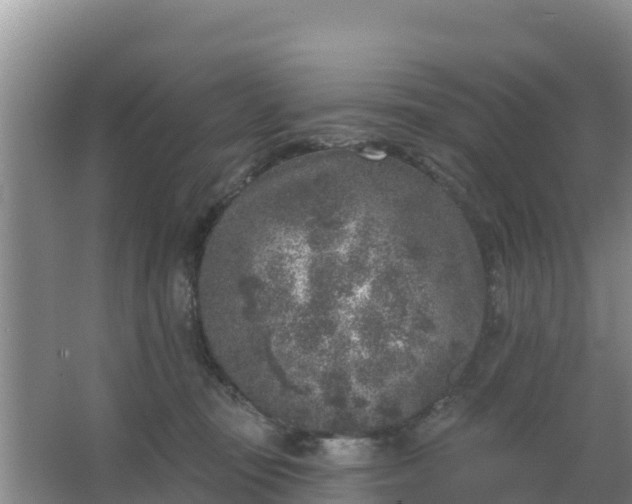 X0000067490371200604150048