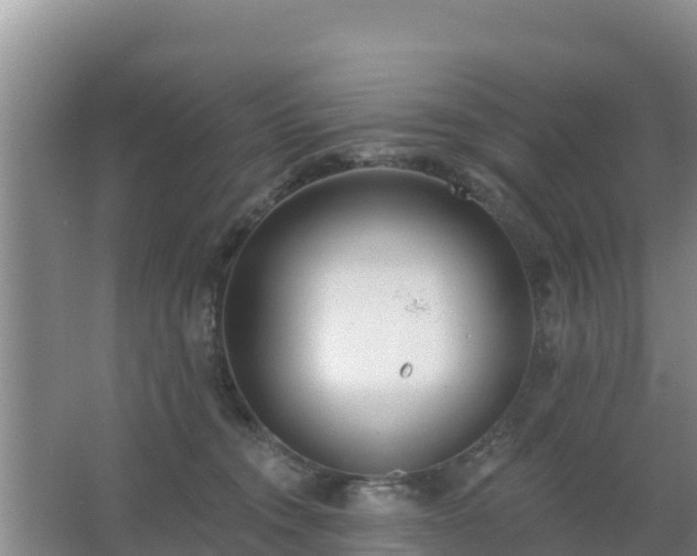 X0000067490372200604150048