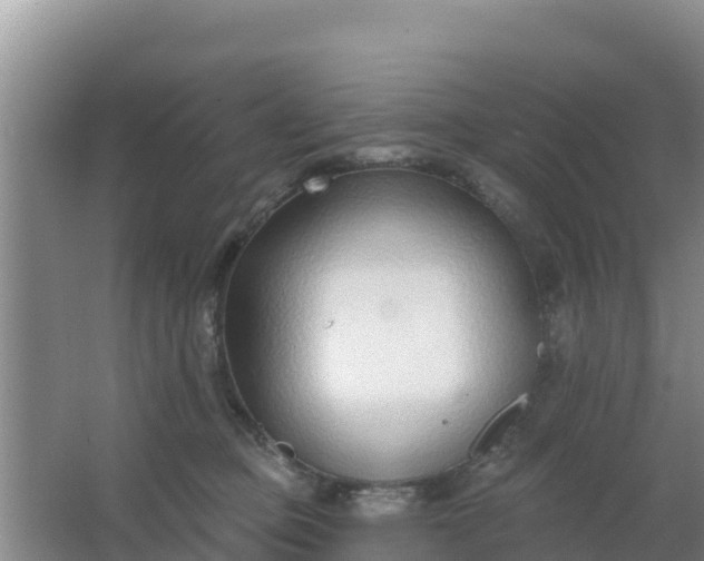 X0000067490373200604150048