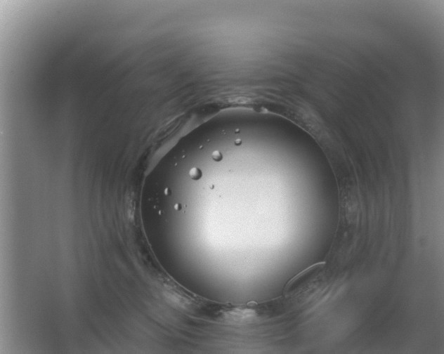 X0000067490374200604150048