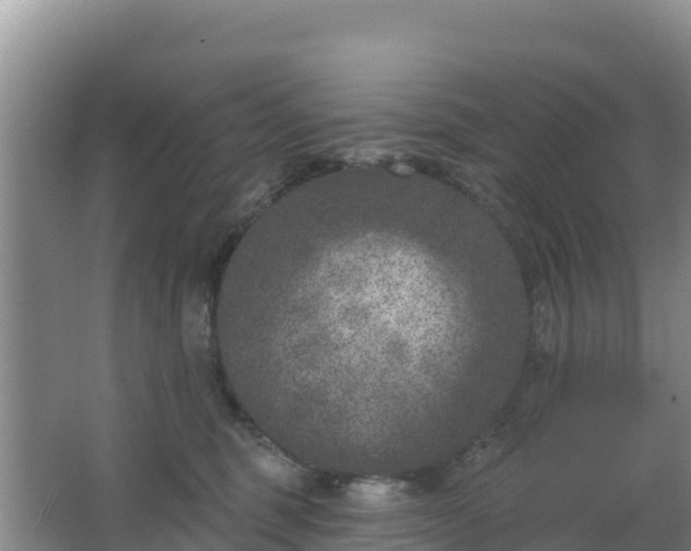 X0000067490375200604150048