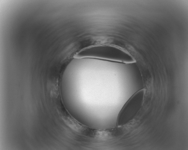 X0000067490376200604150048