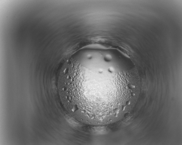 X0000067490377200604150048