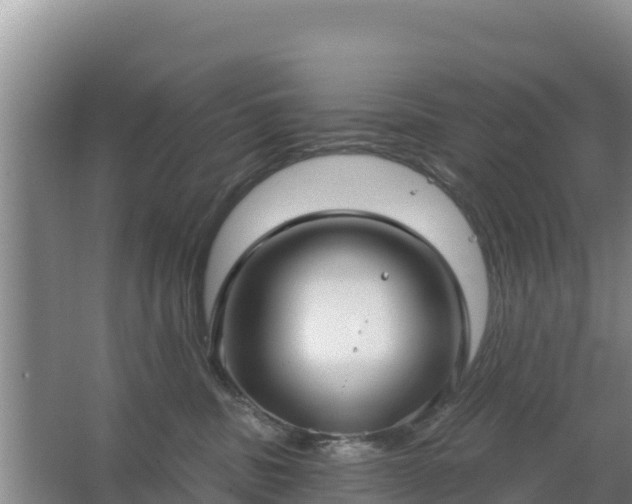 X0000067490379200604150048