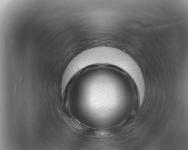 X0000067490380200604150048