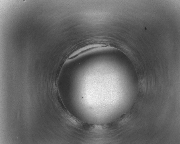 X0000067490381200604150048