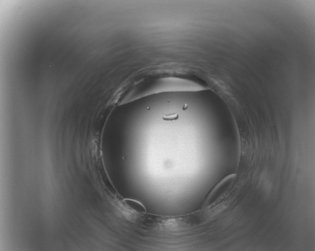 X0000067490382200604150048