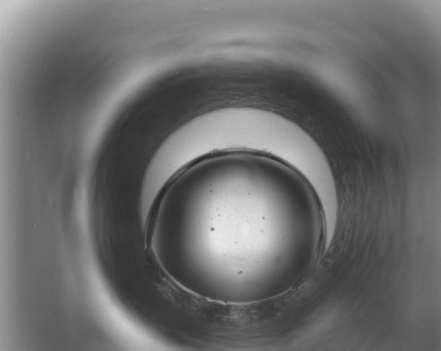 X0000067490383200604150048