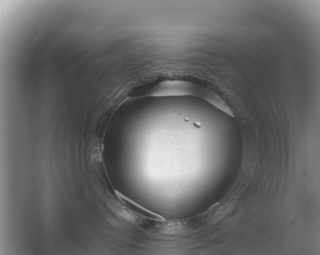 X0000067490384200604150048