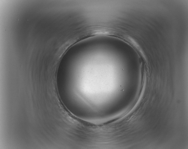 X0000067490385200604150047