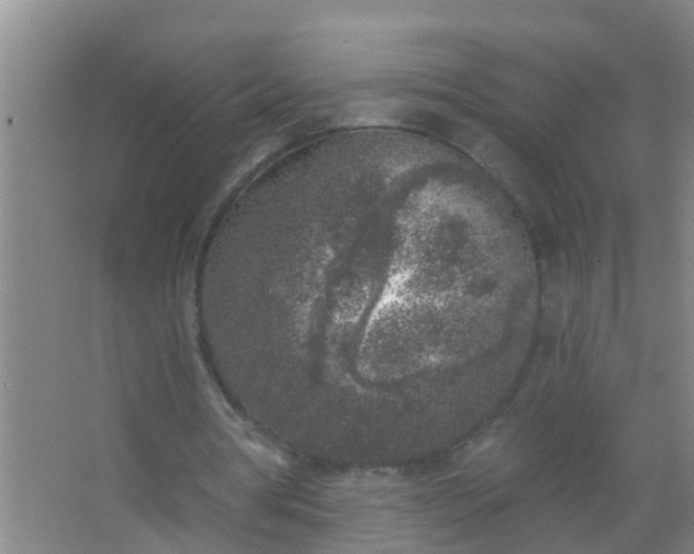 X0000067490386200604150047