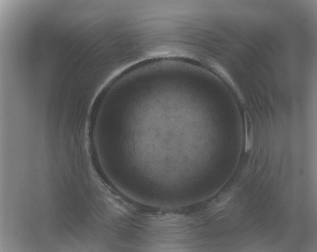 X0000067490387200604150047