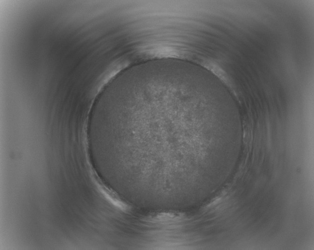 X0000067490390200604150047