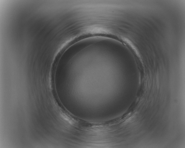 X0000067490391200604150047