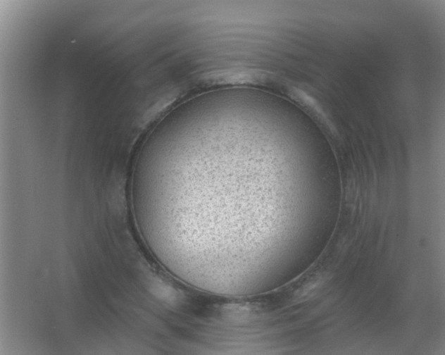 X0000067490394200604150047