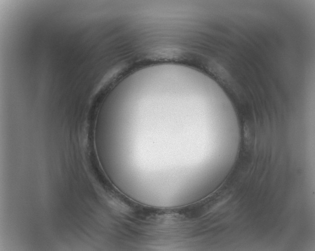 X0000067490396200604150047