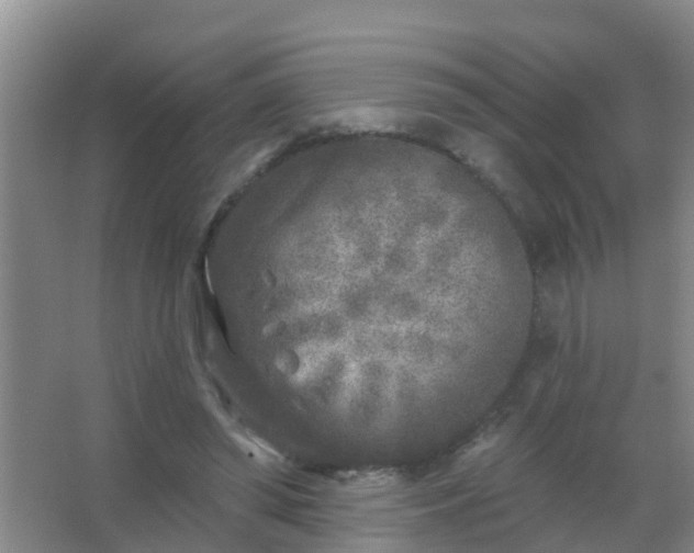 X0000067490398200604150047