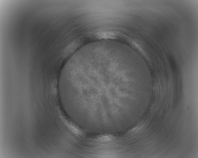 X0000067490402200604150047