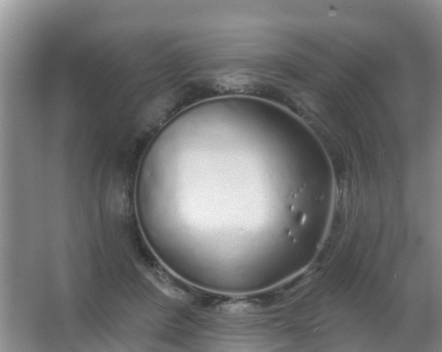 X0000067490408200604150047